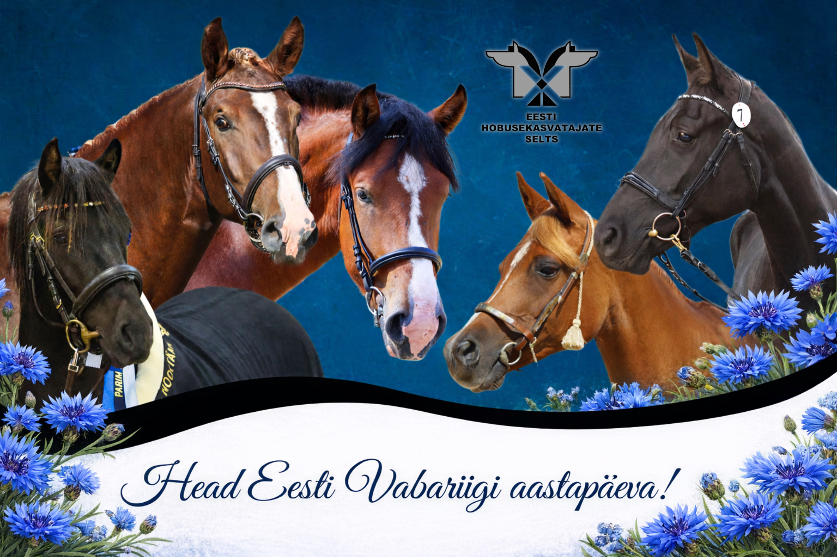 025D28FF 3B12 4C57 8C2D 9FA78EADDC44