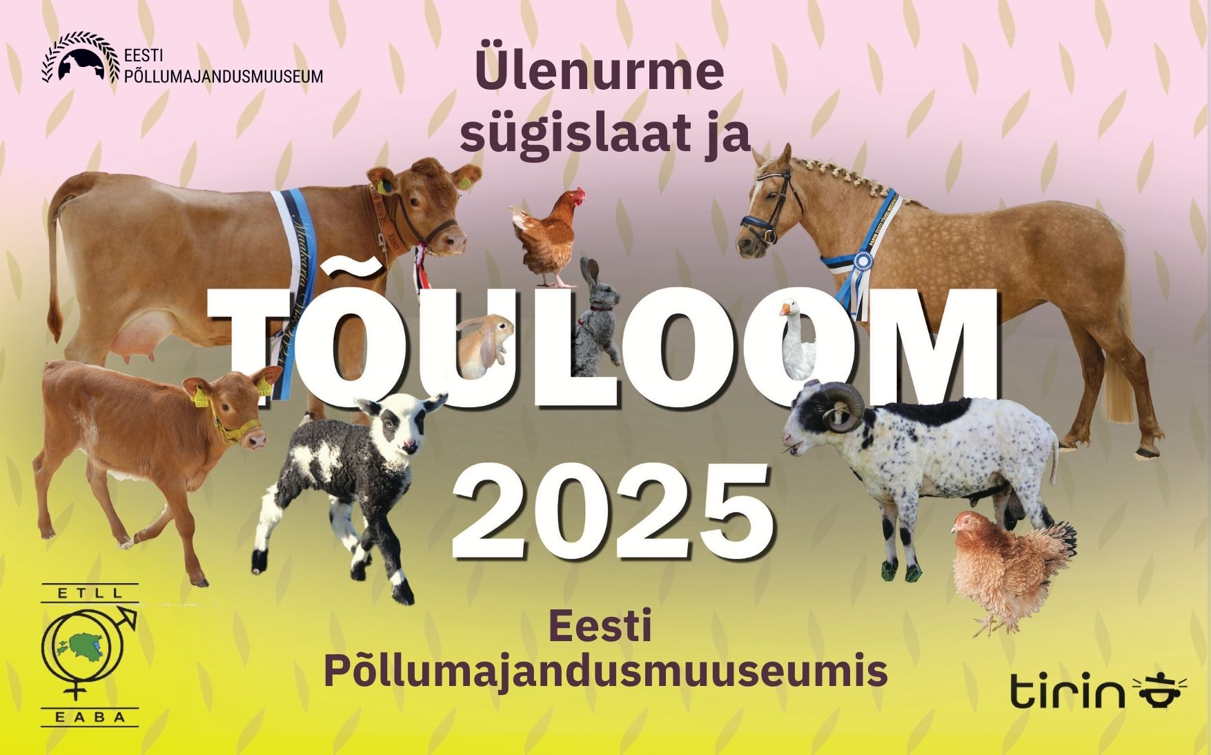 Tõuloom 2025