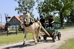 Harlekin uw ja Agris Juhkov 2025