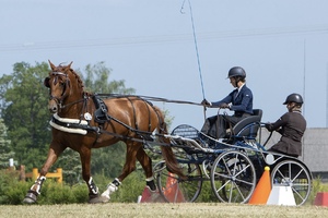 Varandus 13 933 T
