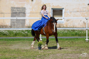 Vesper ER 2