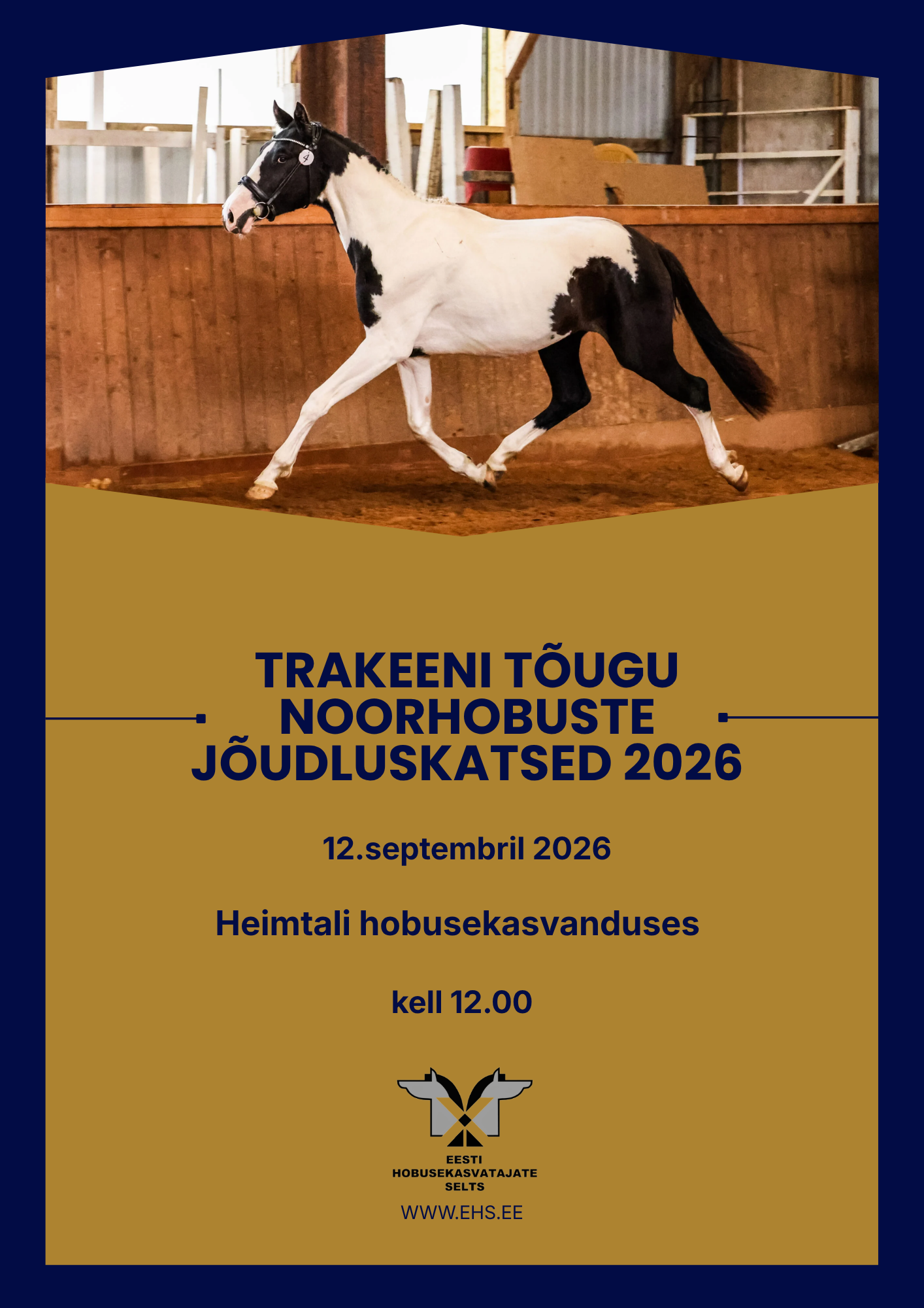 TRAKEENI TÕUGU NOORHOBUSTE ÜLERIIGILISED JÕUDLUSKATSED 2026 12.september 2026